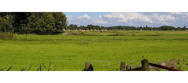 Oostvlietpolder (Foto Unity tv)