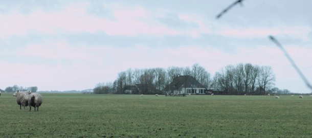 Polder