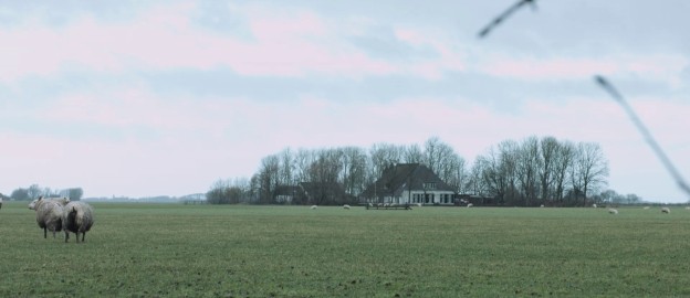 Polder