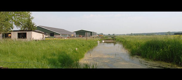 Zuidplas - omgeving Rode Waterparel 610x192